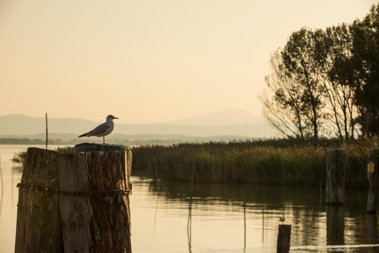 Isola Polvese Resort Castiglione del Lago Eksteriør bilde